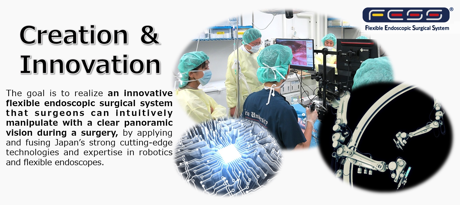 「Flexible Endoscopic Surgical System；FESS」top